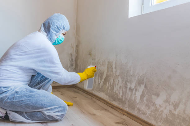 Licensed Commercial Mold Remediation service in Winter Springs, FL - WQB Mold Removal