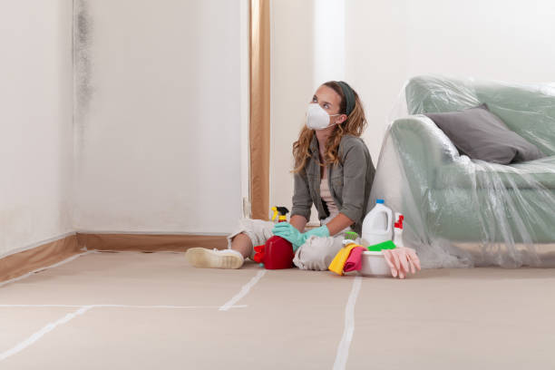 Reliable Commercial Mold Remediation contractor in Winter Springs, FL by WQB Mold Removal