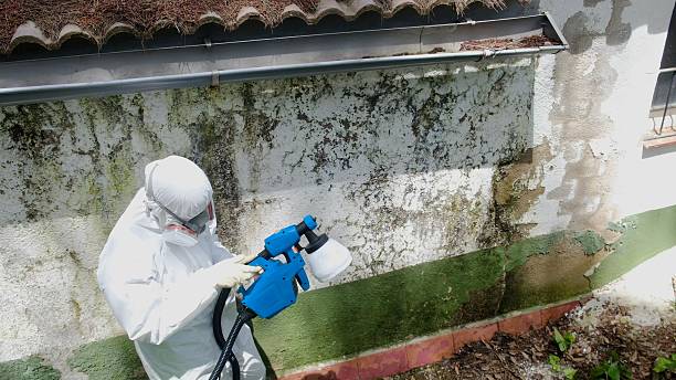 Top rated local Commercial Mold Remediation specialists in Winter Springs, FL